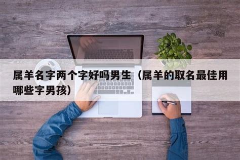 羊 名字|羊字取名的寓意